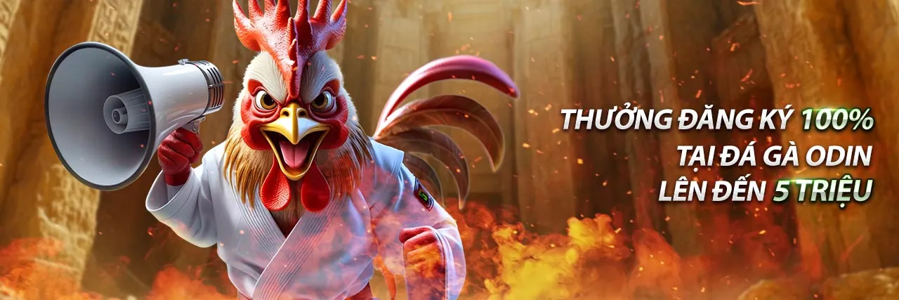 Banner kêu gọi đăng ký MB66